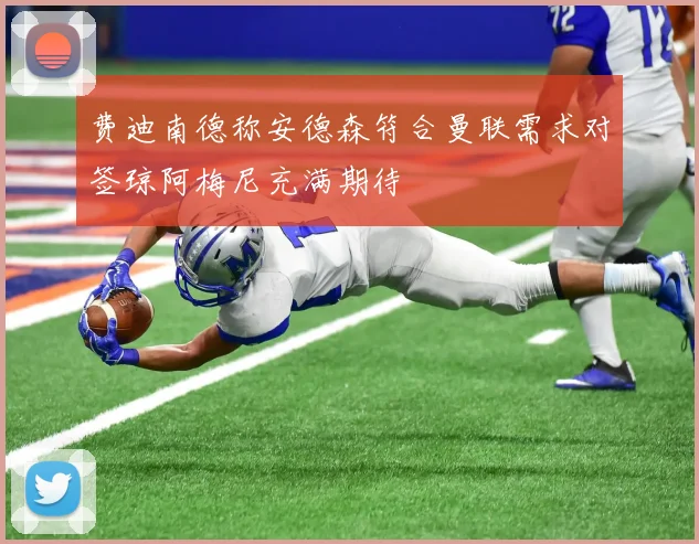 费迪南德称安德森符合曼联需求对签琼阿梅尼充满期待