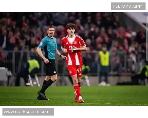 德天空报道拜仁未计划冬窗或明夏引进拉扬未进行报价或谈判